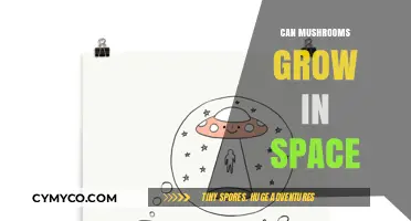Mushrooms in Space: Exploring Fungal Growth Beyond Earth's Atmosphere
