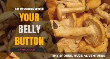 Exploring the Myth: Can Mushrooms Really Grow in Your Belly Button?