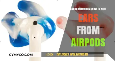 AirPods and Fungi: The Truth About Mushrooms Growing in Your Ears