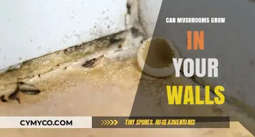 Nature's Intrusion: Can Mushrooms Really Grow in Your Walls?