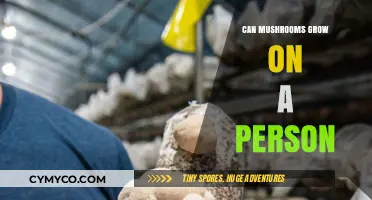 Exploring the Unusual: Can Mushrooms Really Grow on Humans?