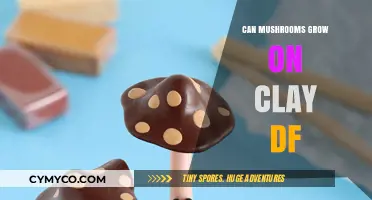 Exploring the Possibilities: Can Mushrooms Thrive on Clay Soils?