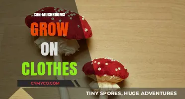 Exploring the Funky Frontier: Mushrooms Sprouting on Fabric