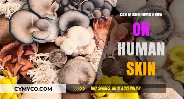 Exploring the Unusual: Can Mushrooms Really Grow on Human Skin?