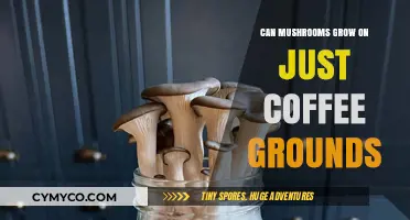 Exploring the Possibility: Can Mushrooms Thrive on Coffee Grounds Alone?