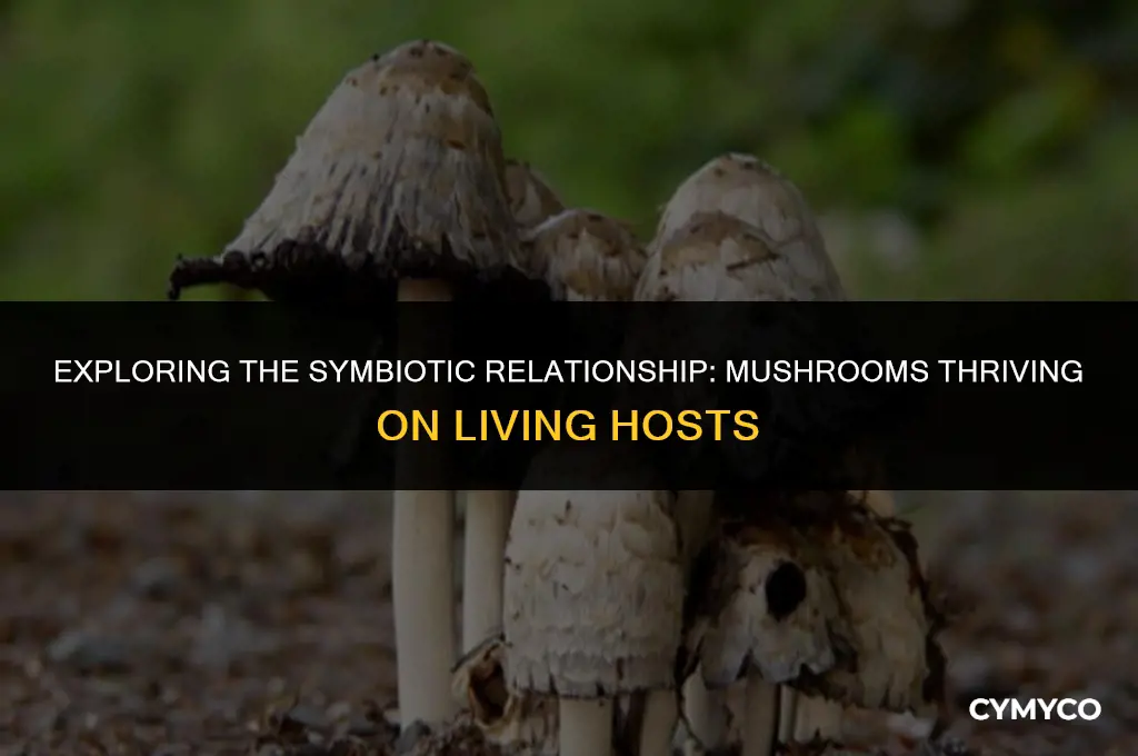 can mushrooms grow on living animals