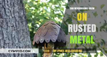 Nature's Resilience: Can Mushrooms Thrive on Rusted Metal Surfaces?