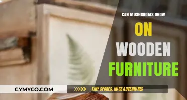 Nature's Intrusion: Can Mushrooms Really Grow on Wooden Furniture?