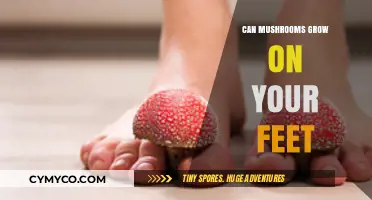 Exploring the Myth: Can Mushrooms Really Grow on Your Feet?
