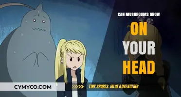 Exploring the Myth: Can Mushrooms Really Grow on Your Head?