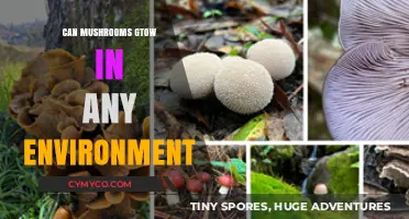 Exploring the Versatility: Can Mushrooms Thrive in Any Environment?