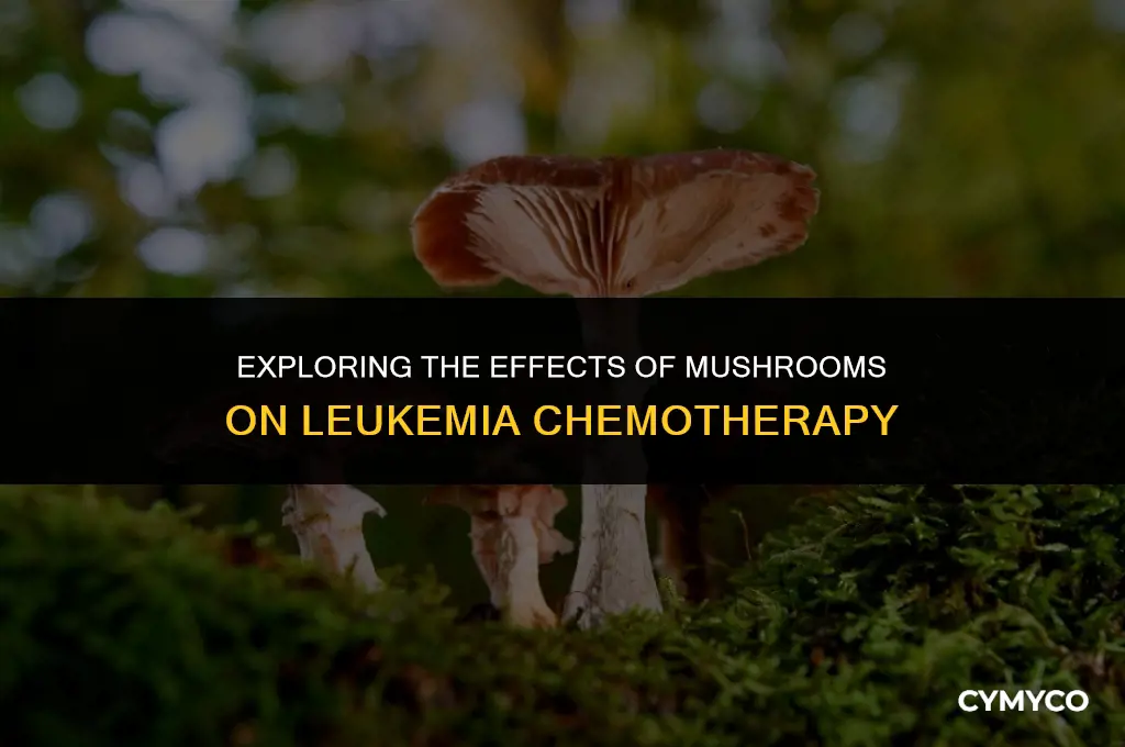 can mushrooms harm leukemia chem