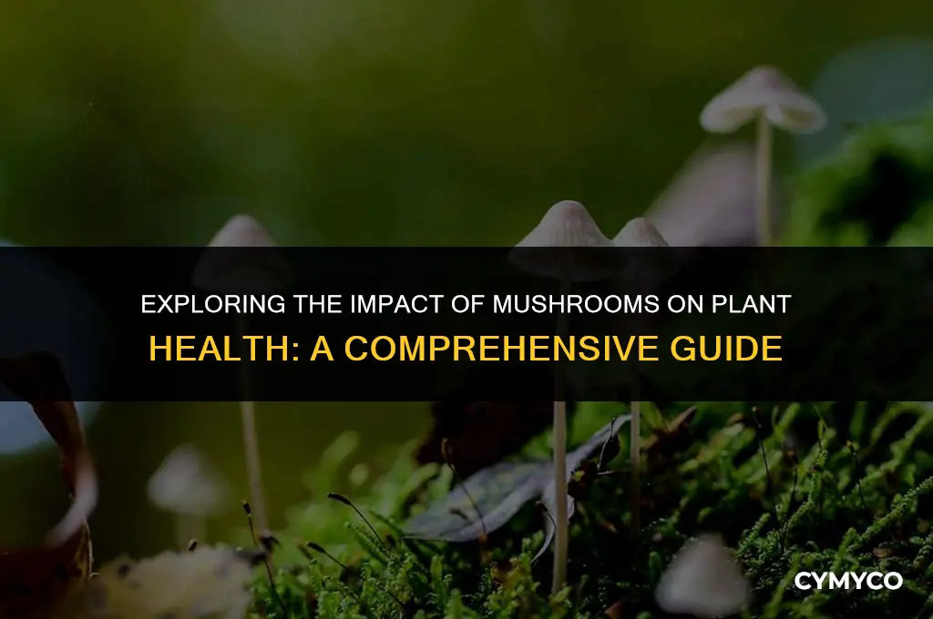 can mushrooms harm plants