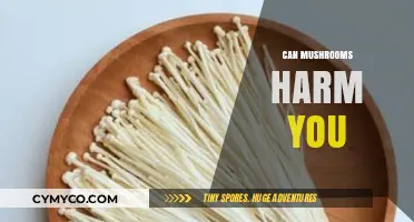 Exploring the Risks: Can Mushrooms Harm You?