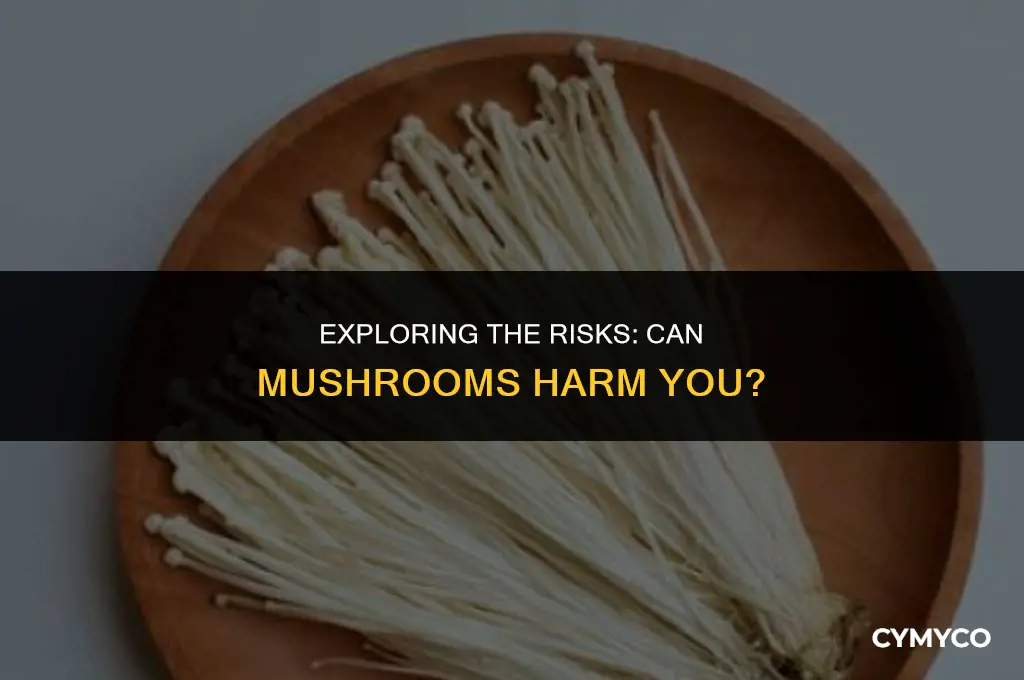 can mushrooms harm you