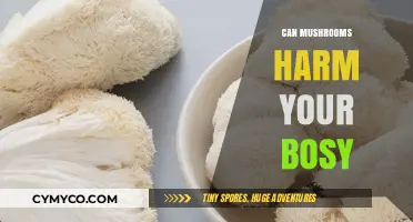 Exploring the Risks: Can Mushrooms Pose a Threat to Your Health?