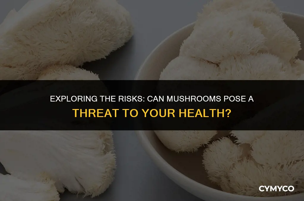 can mushrooms harm your bosy