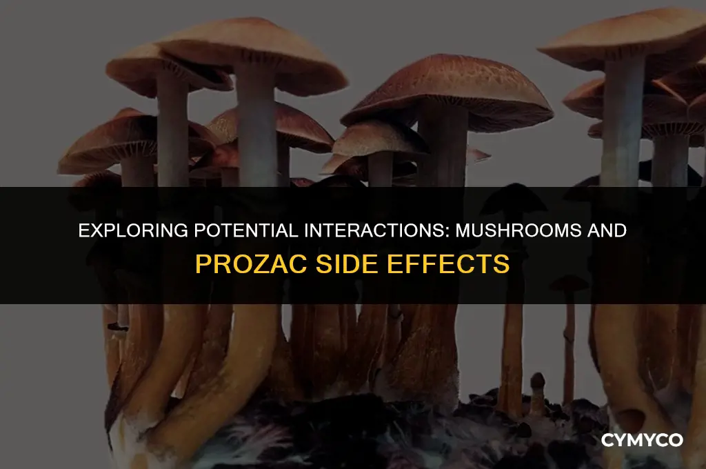 can mushrooms have adverse effects with prozac