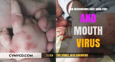 Exploring the Myth: Can Mushrooms Really Contract Hand, Foot, and Mouth Virus?