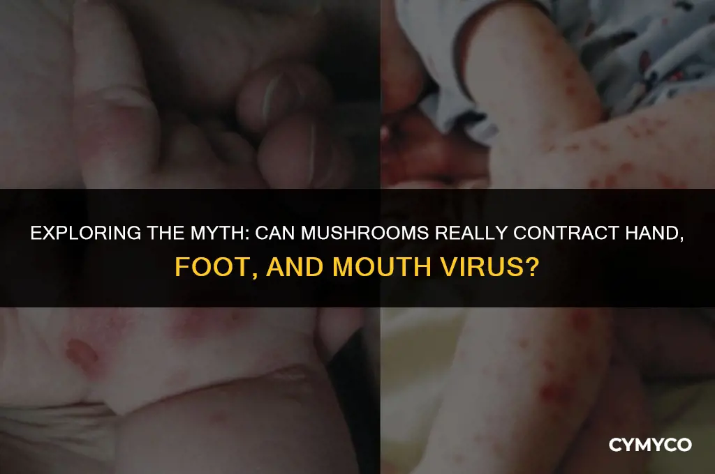 can mushrooms have hand foot and mouth virus