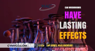 Exploring the Long-Term Impact of Mushrooms on Mind and Body