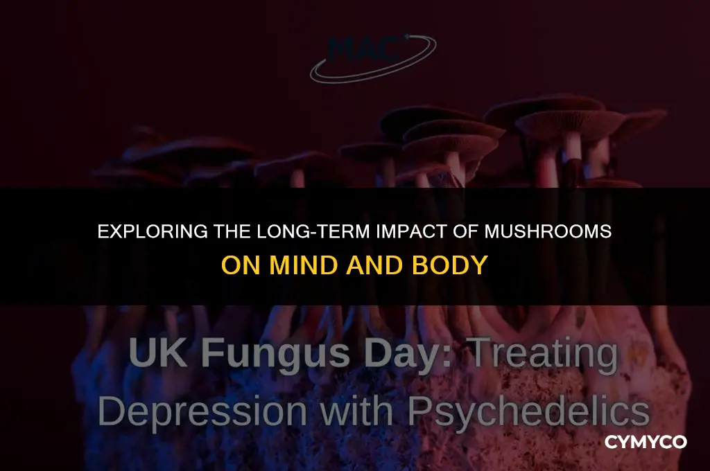 can mushrooms have lasting effects