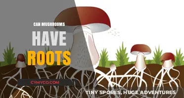 Exploring the Hidden Depths: Do Mushrooms Really Have Roots?