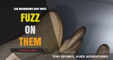 Exploring the Mystery: White Fuzz on Mushrooms Explained