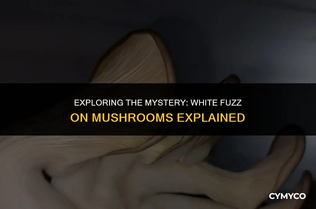 can mushrooms have white fuzz on them