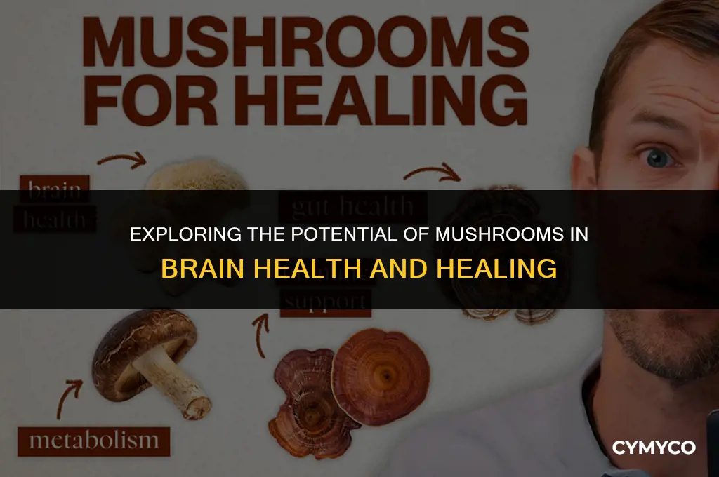 can mushrooms heal brain