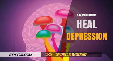 Exploring the Potential of Mushrooms in Treating Depression
