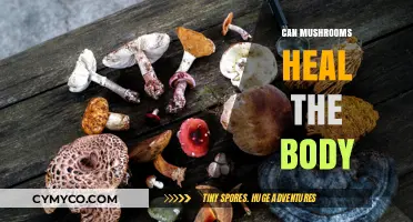 Unlocking Nature's Pharmacy: The Healing Potential of Mushrooms
