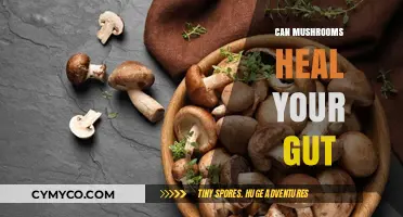 Unlocking Gut Health: The Surprising Healing Power of Mushrooms