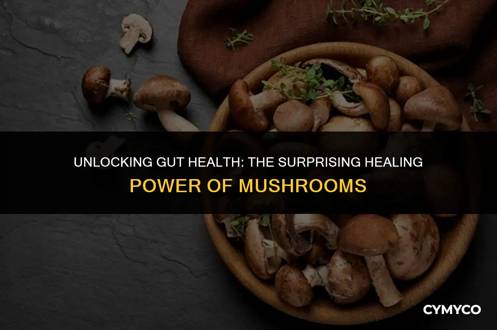 can mushrooms heal your gut