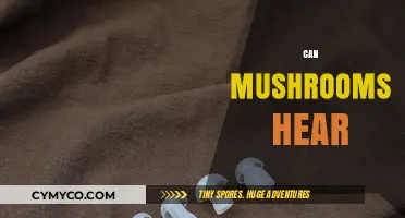 Exploring the Sonic World of Fungi: Can Mushrooms Hear?