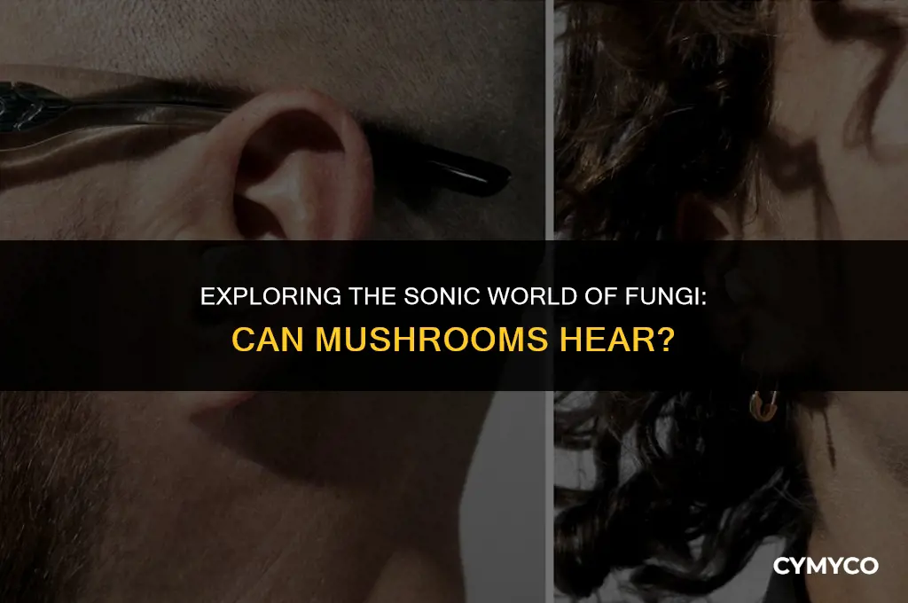 can mushrooms hear