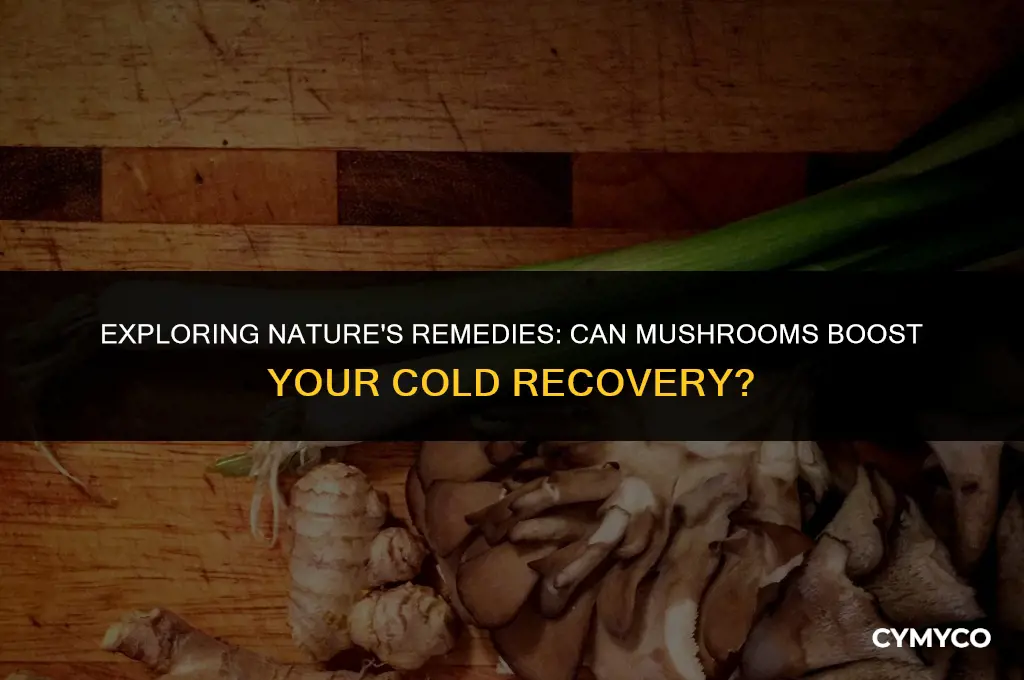can mushrooms help a cold