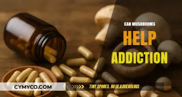 Exploring the Potential of Mushrooms in Addiction Recovery