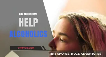 Exploring the Potential of Mushrooms in Supporting Alcohol Recovery