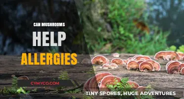 Exploring the Potential of Mushrooms in Alleviating Allergies