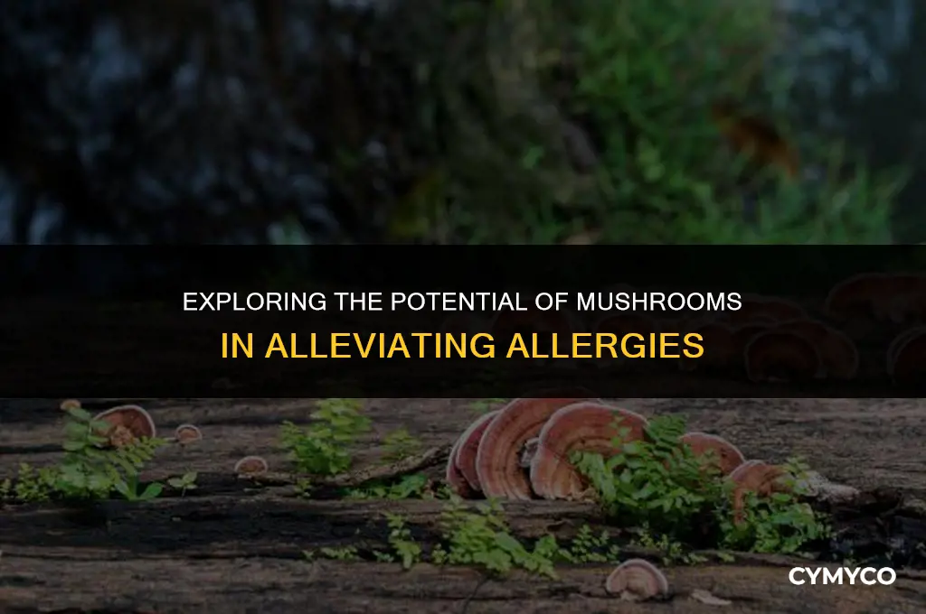 can mushrooms help allergies
