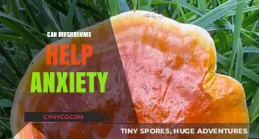 Exploring Nature's Calm: Can Mushrooms Ease Anxiety?