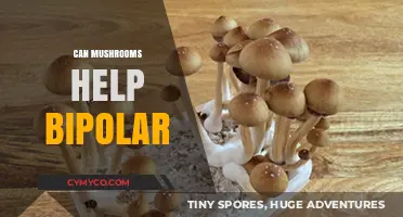 Exploring the Potential of Mushrooms in Managing Bipolar Symptoms