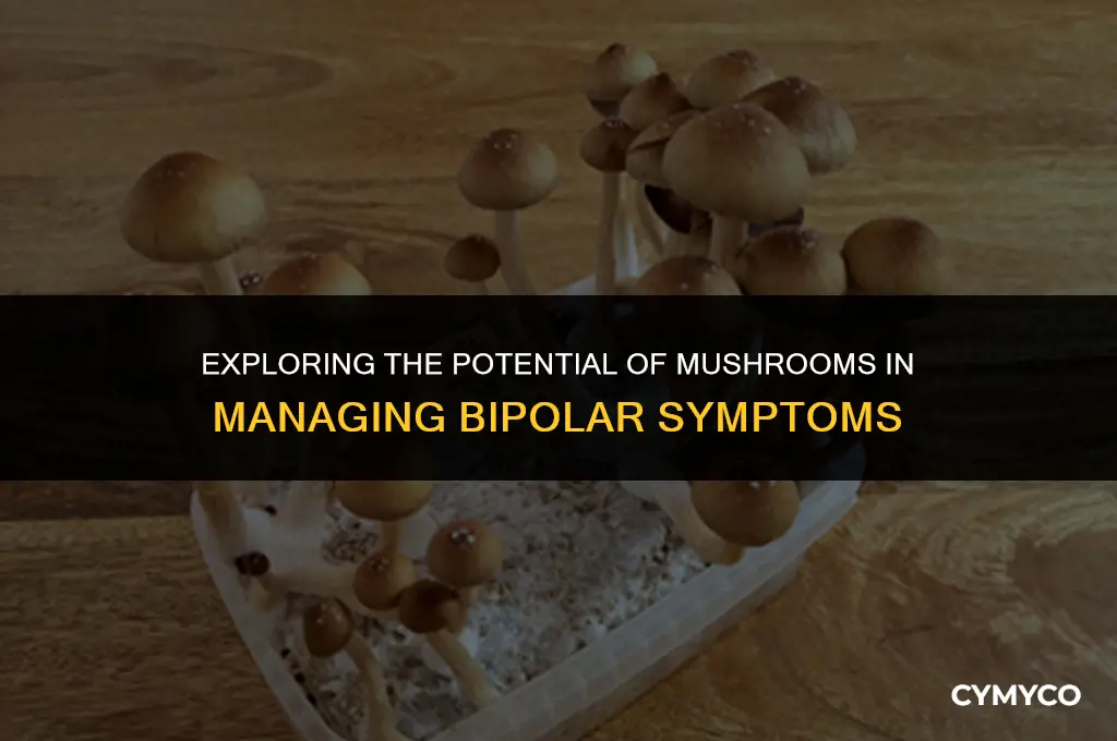 can mushrooms help bipolar