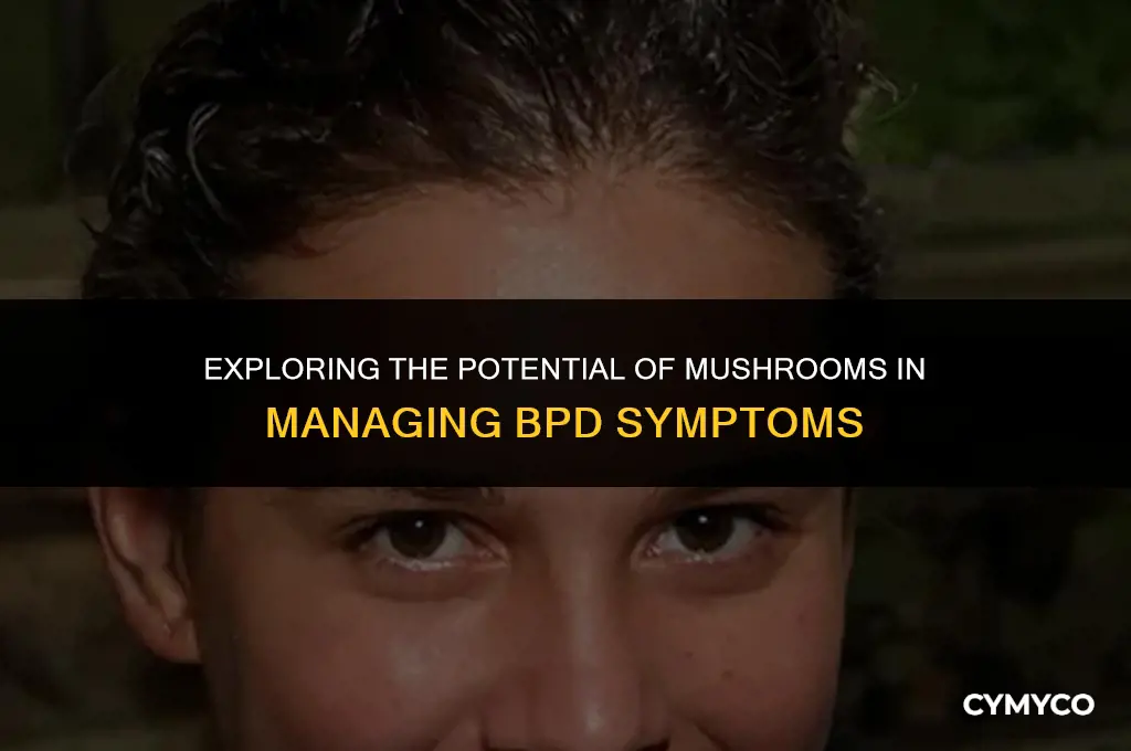 can mushrooms help bpd