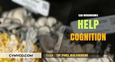 Exploring the Mind-Boosting Potential of Mushrooms: A Cognitive Journey