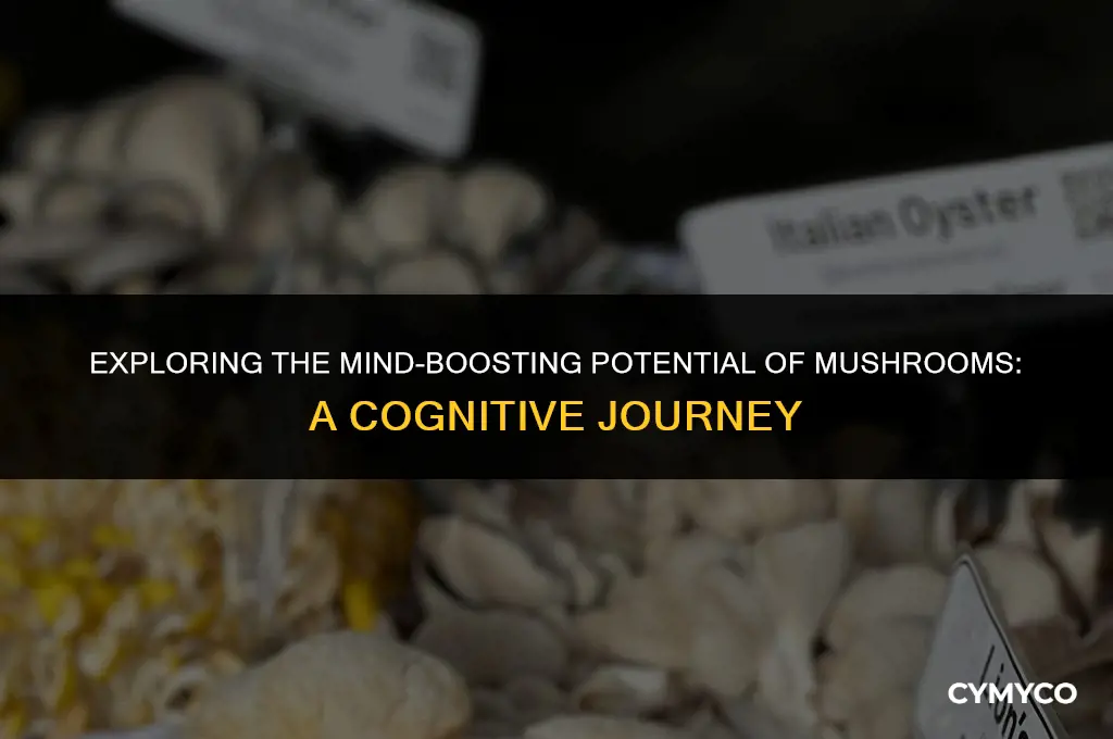can mushrooms help cognition
