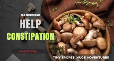 Exploring the Potential of Mushrooms in Relieving Constipation