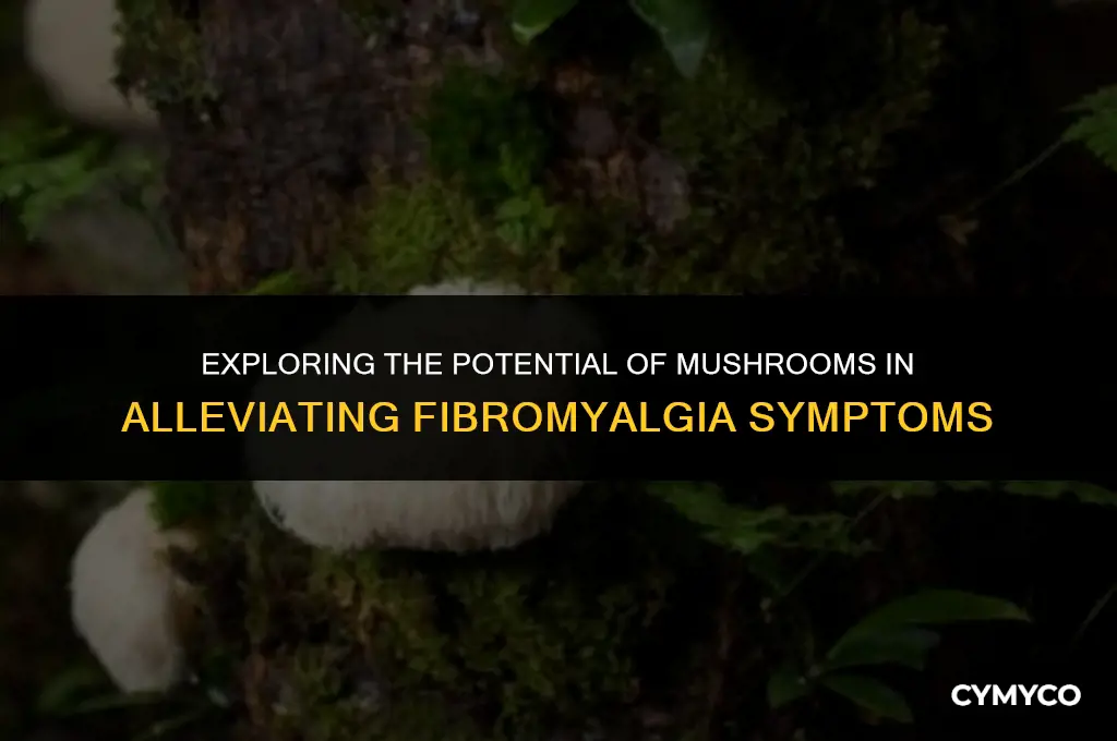 can mushrooms help fibromyalgia