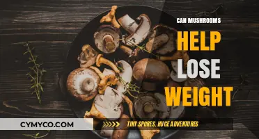 Exploring the Potential of Mushrooms in Weight Management